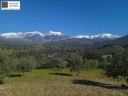 Kalochorafitis Kreta, Kalochorafiti: Landwirtschaftliches Grundstück mit 170 Olivenbäumen Grundstück kaufen